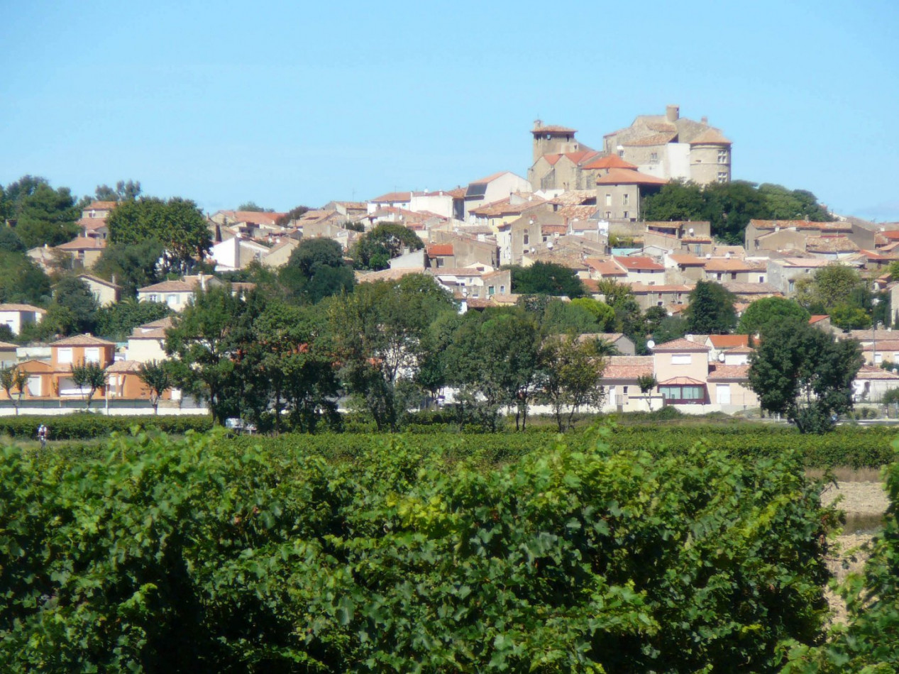 à vendre Villa Magalas - Photo 8