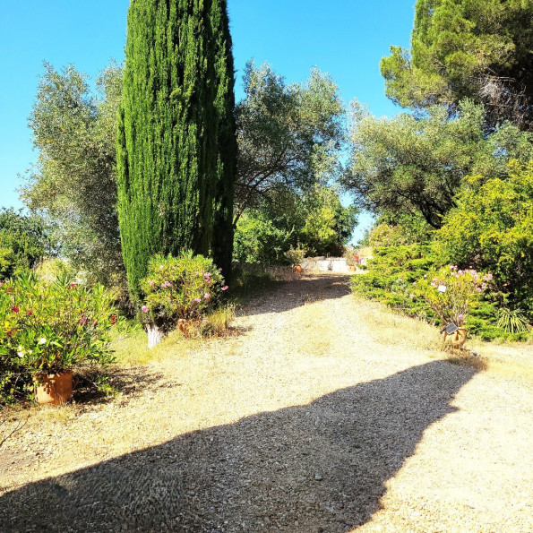 vente Bastide Montagnac - Photo 3