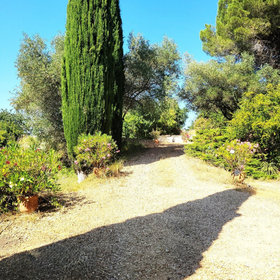 à vendre Bastide Montagnac - Photo 3