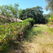 vente Bastide Montagnac