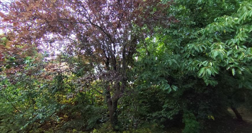 vente Maison Saint Genis Les Ollieres