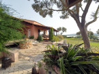 for sale Haras / equestre Bouzigues