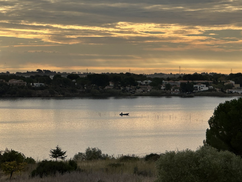 à vendre Haras / equestre Bouzigues - Photo 1