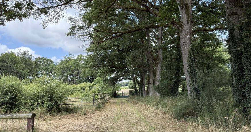 vente Manoir Conquereuil