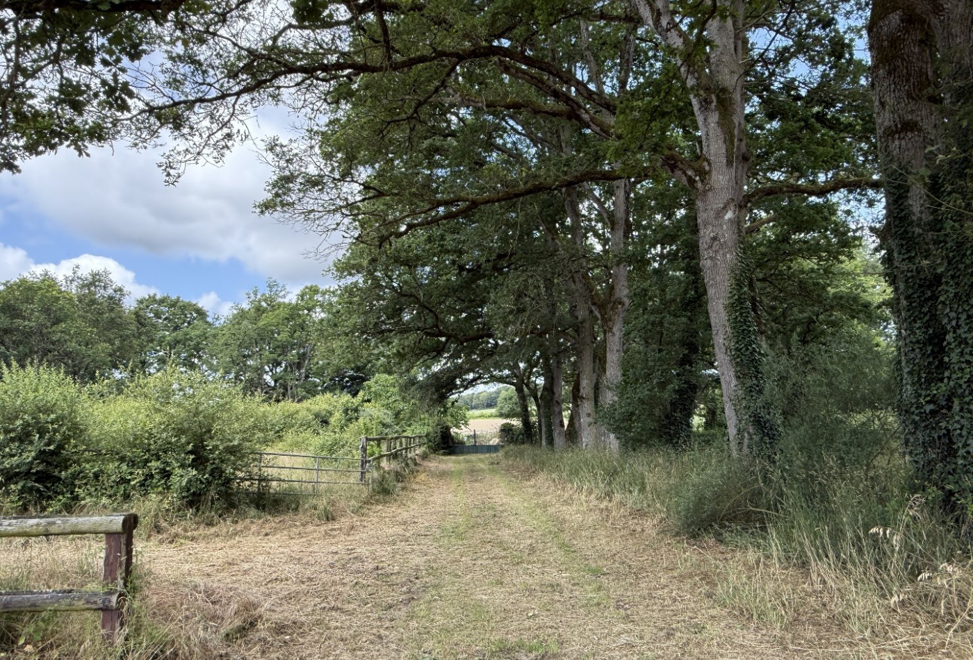 vente Manoir Conquereuil - Photo 4