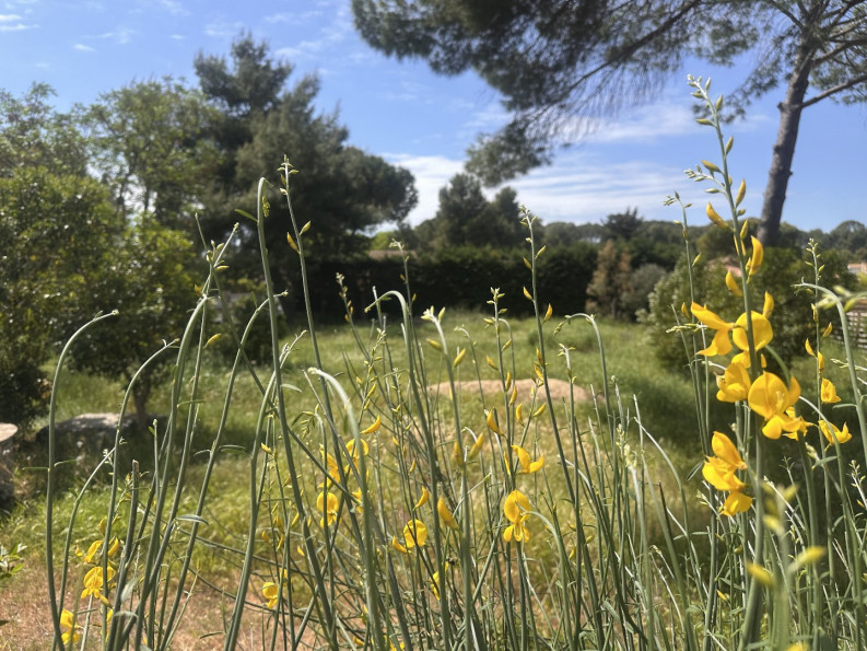 à vendre Maison Pezenas - Photo 1