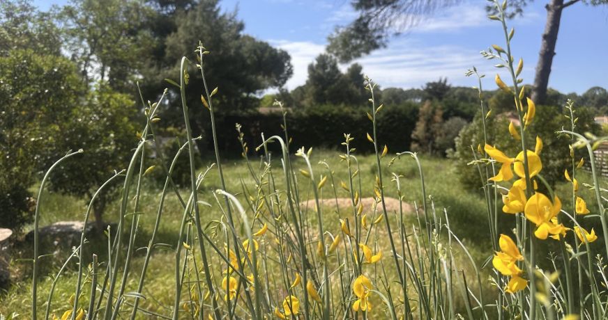 vente Maison Pezenas