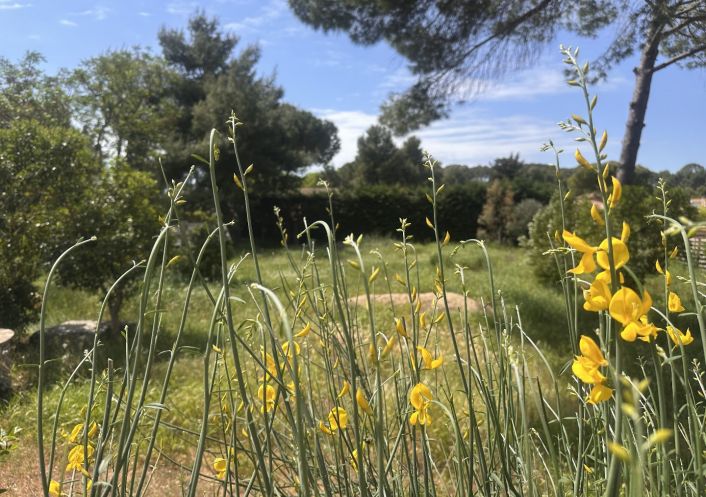 à vendre Maison Pezenas