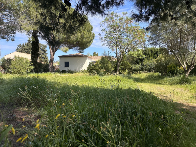 à vendre Maison Pezenas - Photo 2