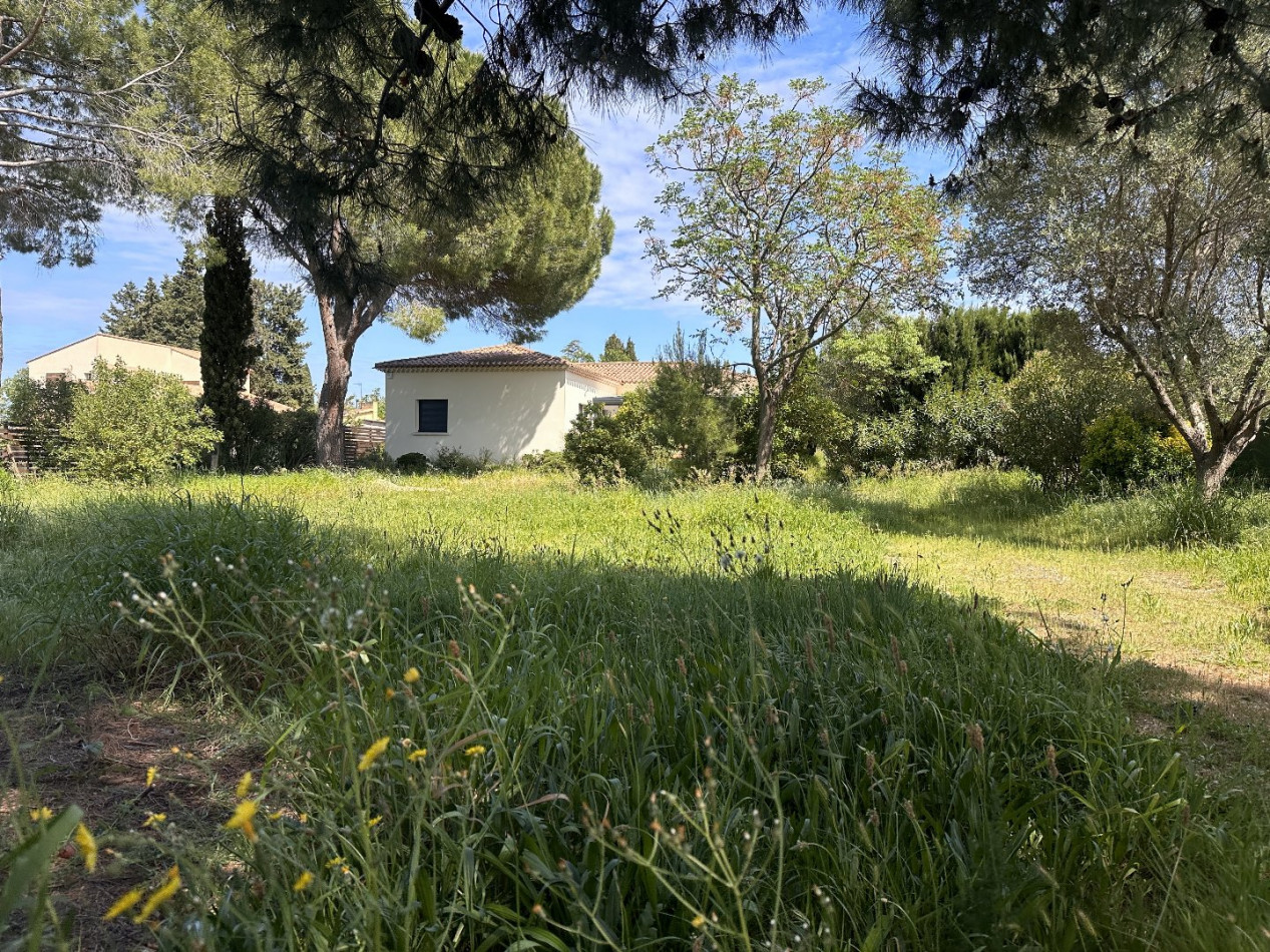 à vendre Maison Pezenas - Photo 2