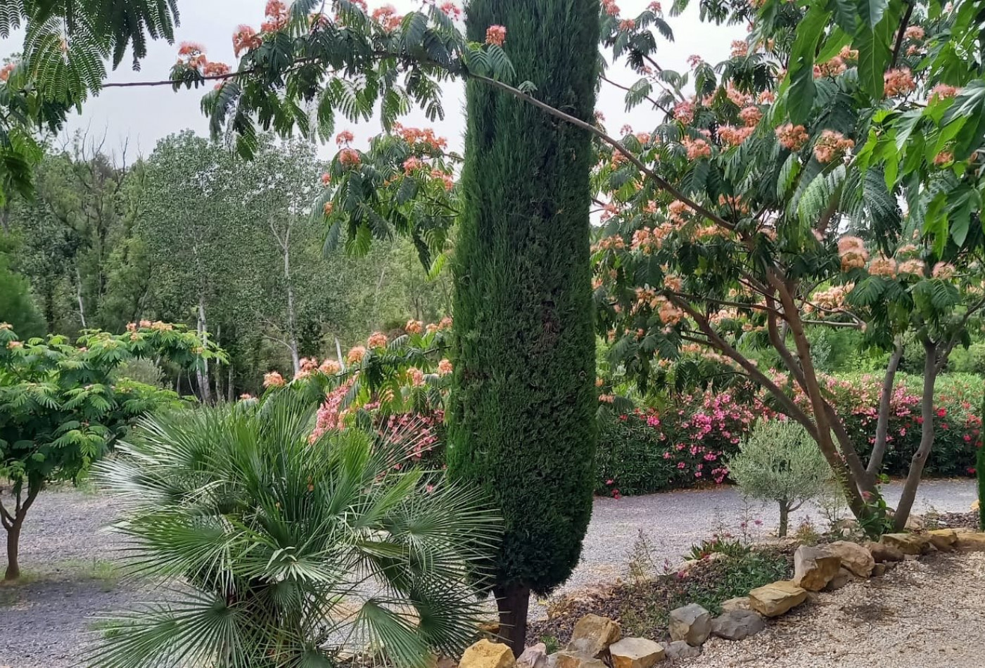 vente Villa Roujan - Photo 4