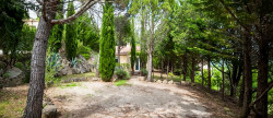 vente Domaine Montpellier