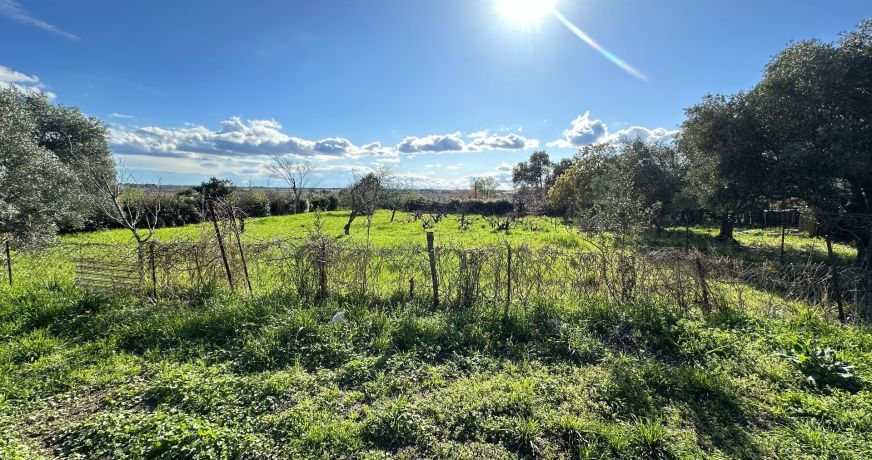 vente Maison Pezenas