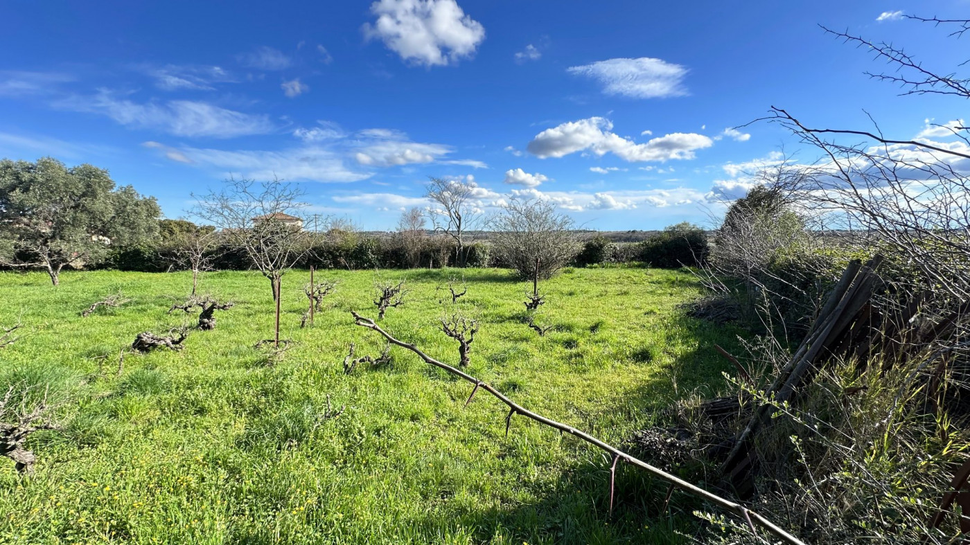 à vendre Maison Alignan Du Vent - Photo 12