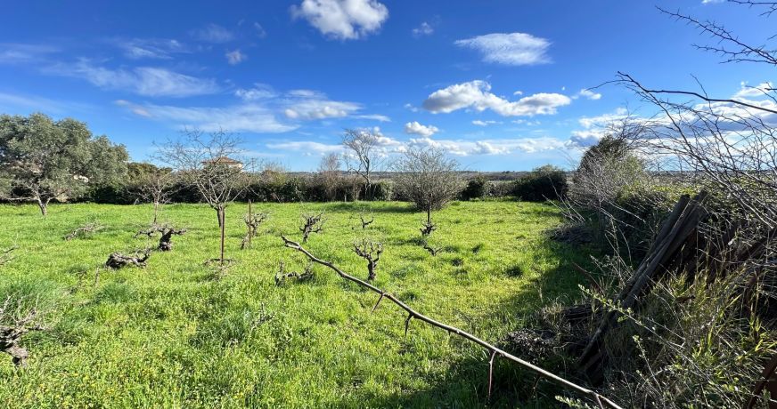 vente Maison Pezenas