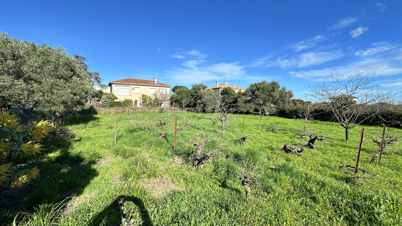 à vendre Maison Alignan Du Vent - Photo 1