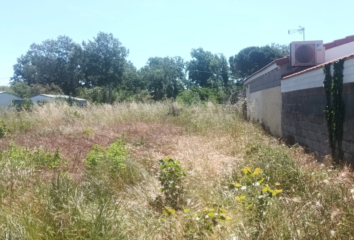 vente Terrain constructible Cap D'agde - Photo 6