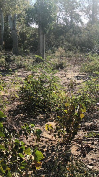 vente Terrain constructible Cap D'agde - Photo 2