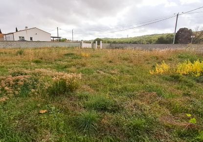 vente Terrain Lezignan La Cebe