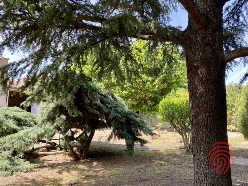 vente Maison bourgeoise Puisserguier - Photo 1