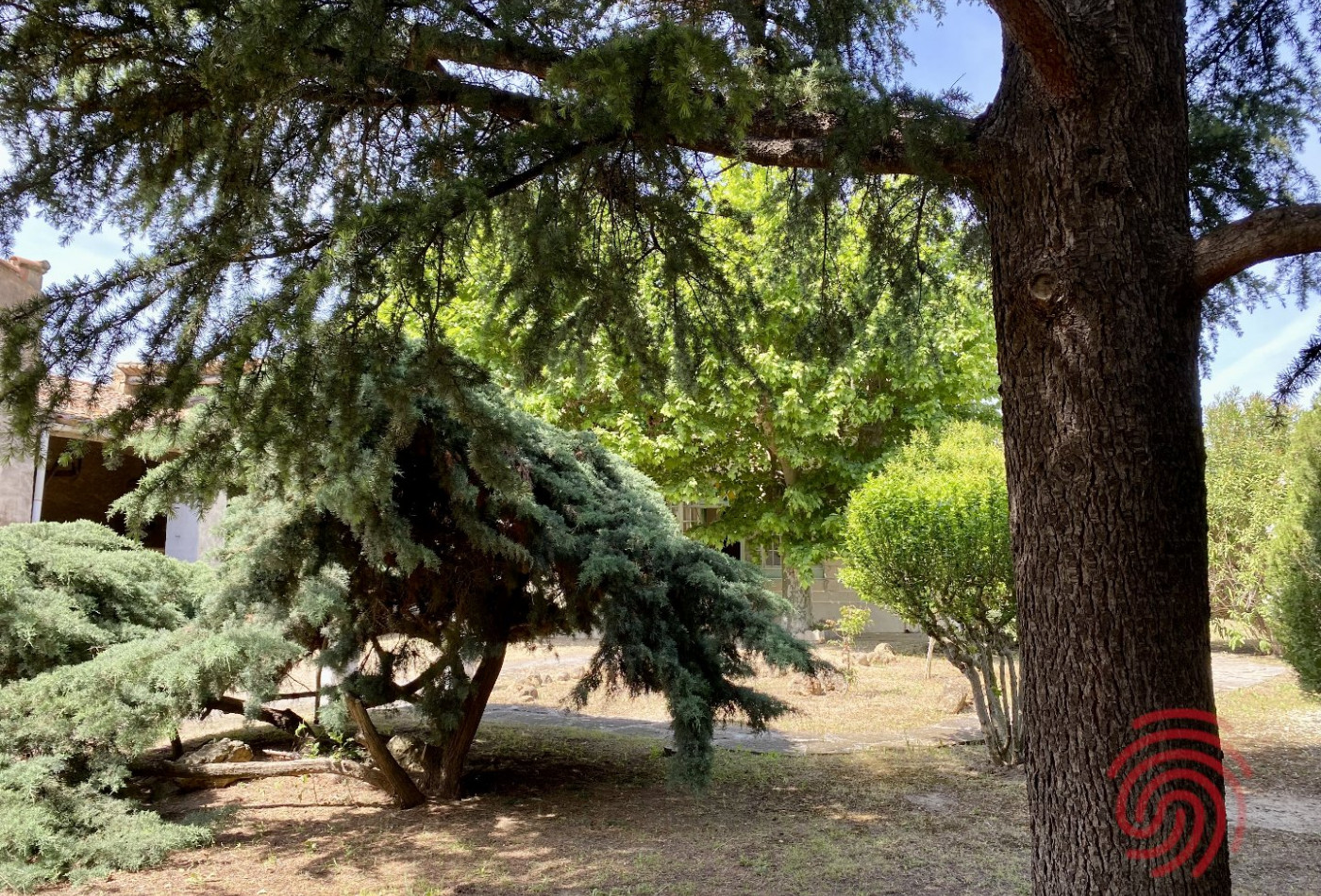 sale Maison bourgeoise Puisserguier - Photo 1