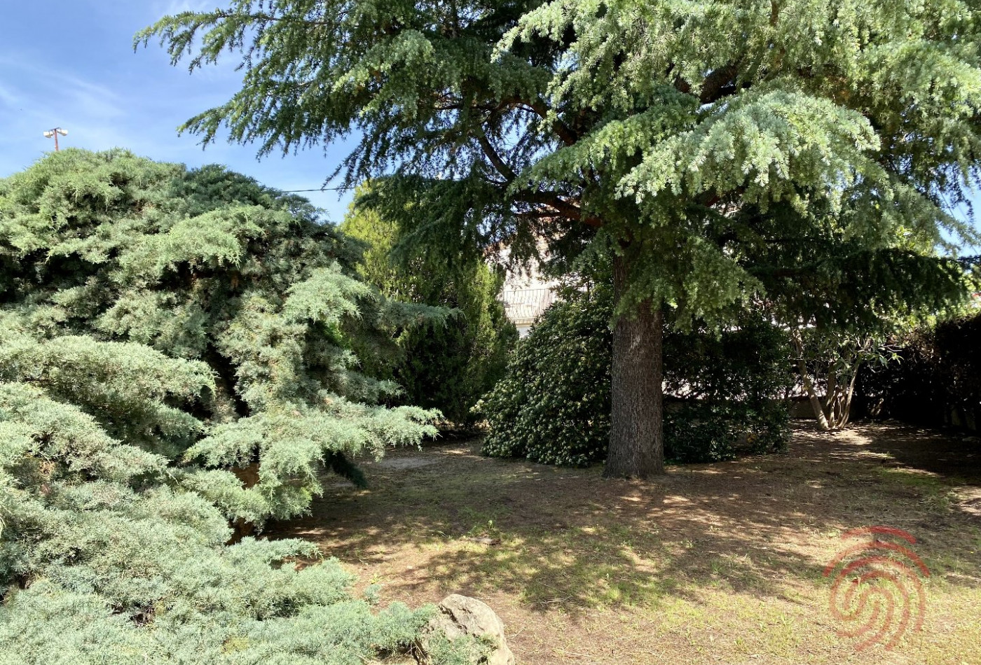 à vendre Maison bourgeoise Puisserguier - Photo 7