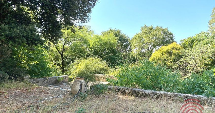 vente Domaine Pezenas