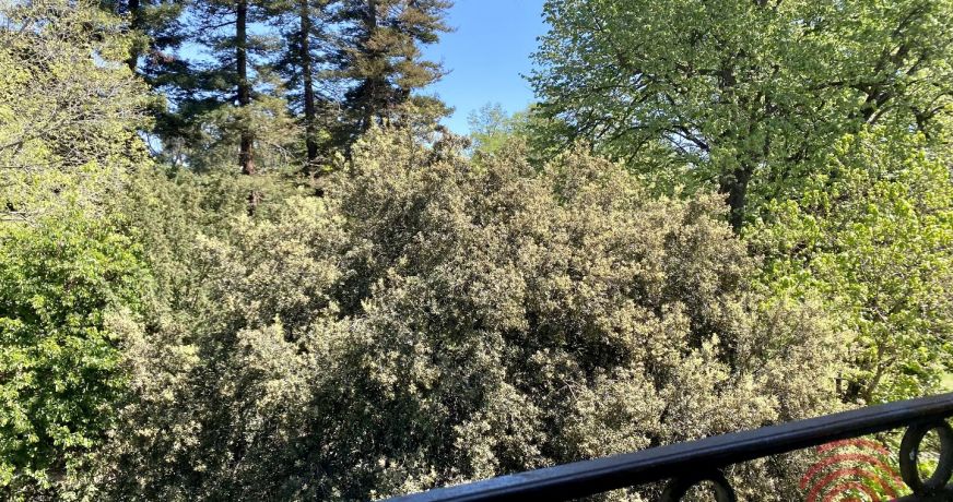 vente Appartement bourgeois Beziers