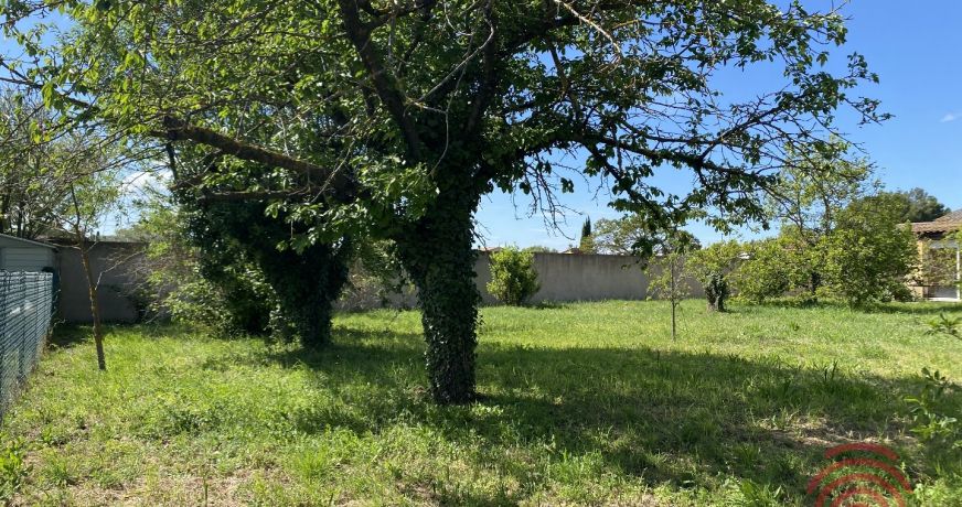 vente Terrain constructible Montagnac