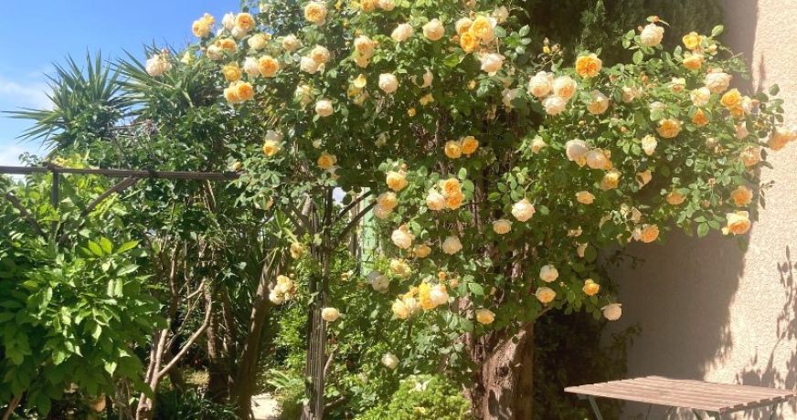 vente Maison Beziers