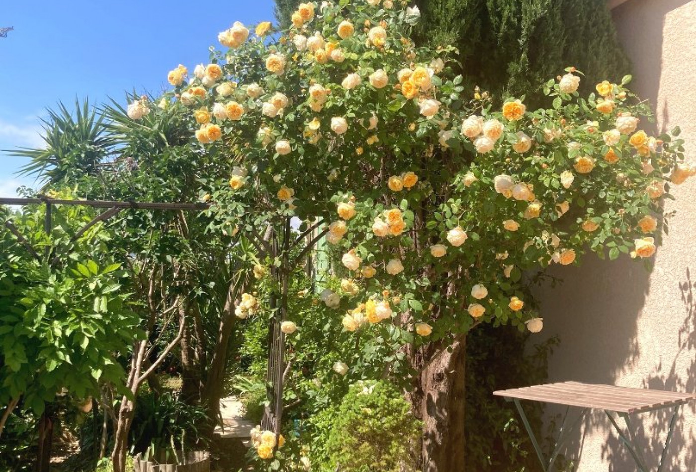 sale Maison Beziers - Photo 14