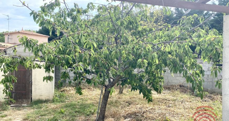 vente Maison à rénover Villeneuve Les Beziers