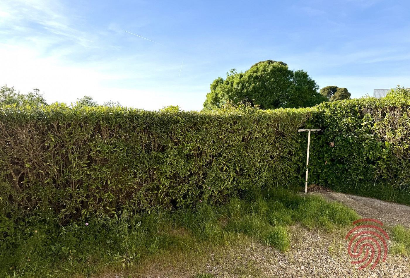 vente Villa Beziers - Photo 5