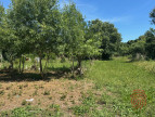vente Terrain constructible Puimisson
