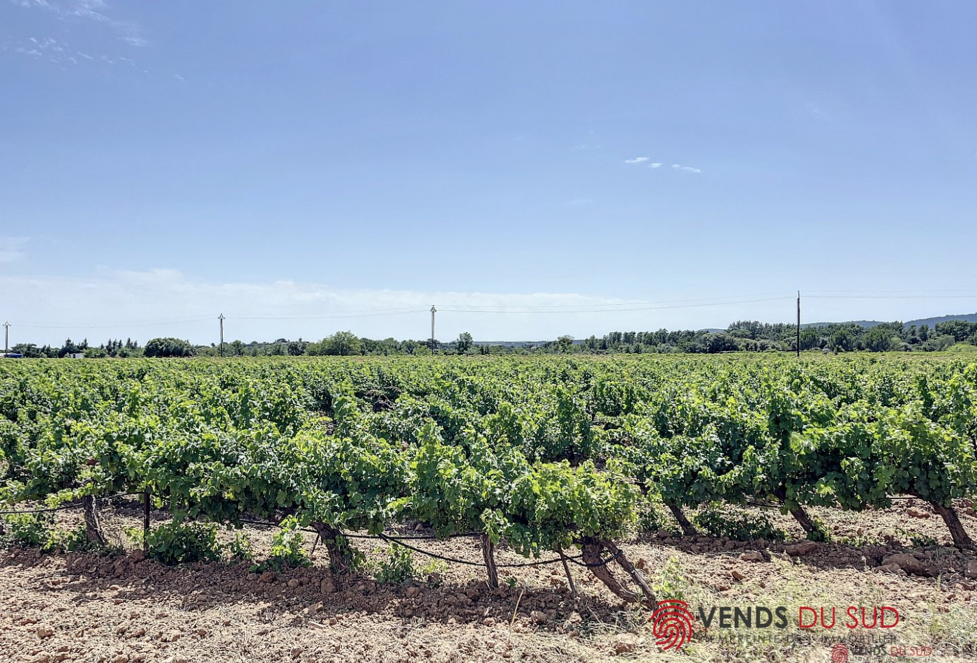 vente Proprit viticole Ceyras