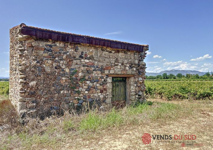 vente Propriété viticole Ceyras