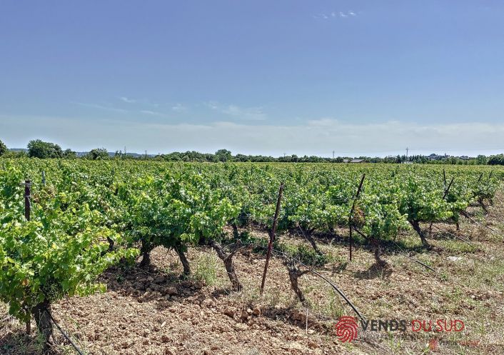 vente Propriété viticole Ceyras