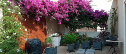 vente Maison Valras Plage