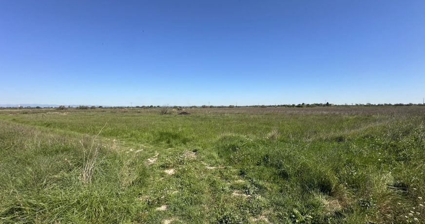 vente Terrain agricole Serignan
