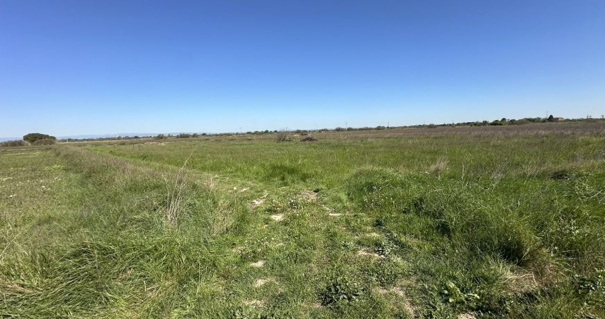 vente Terrain agricole Serignan