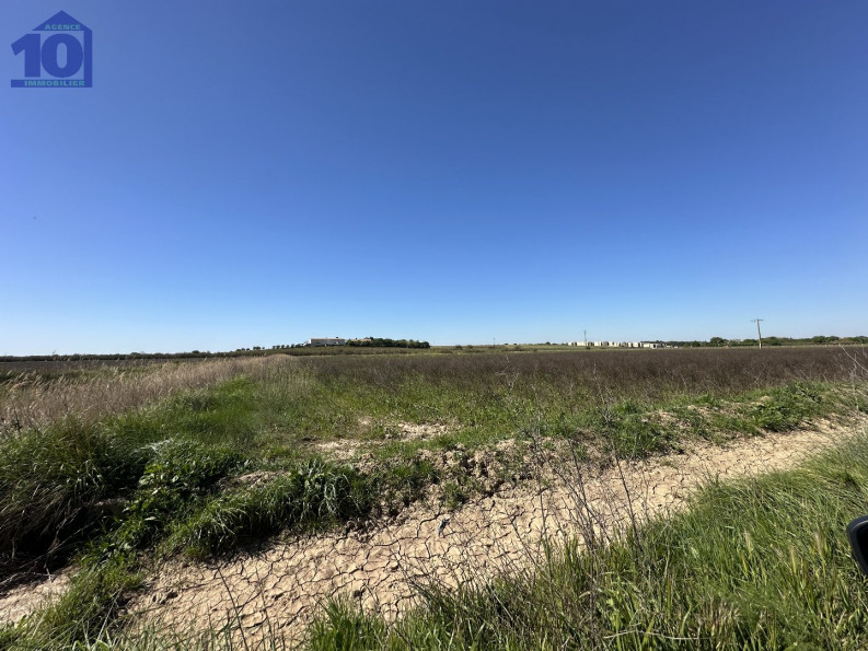 vente Terrain agricole Serignan - Photo 1