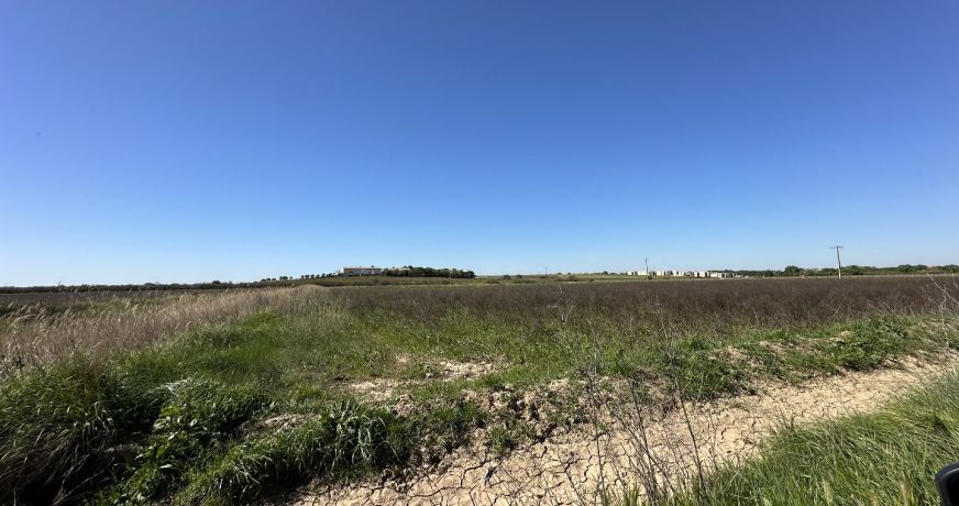 vente Terrain agricole Serignan