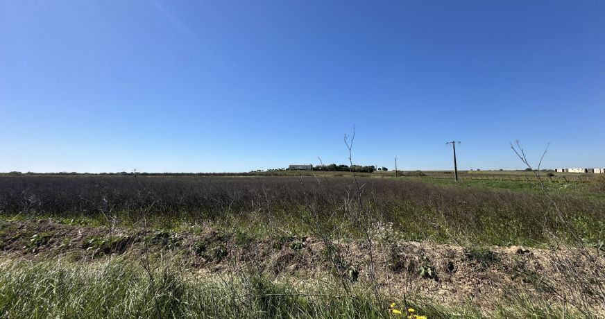 vente Terrain agricole Serignan