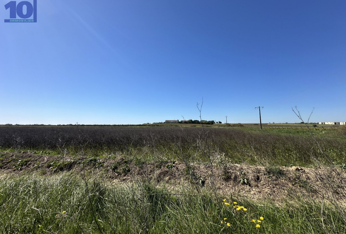 vente Terrain agricole Serignan - Photo 2