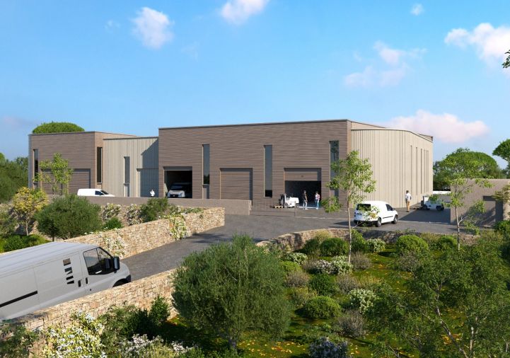 à vendre Ateliers et bureaux Saint Georges D'orques
