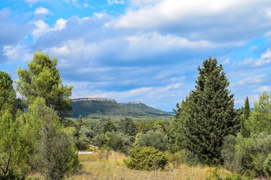 à vendre Terrain constructible Valflaunes - Photo 1