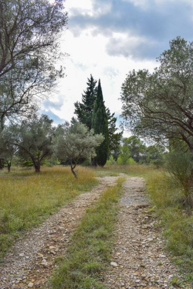 à vendre Terrain constructible Valflaunes - Photo 3