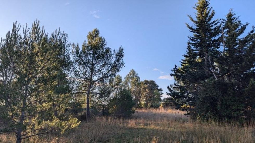 vente Terrain constructible Valflaunes - Photo 5