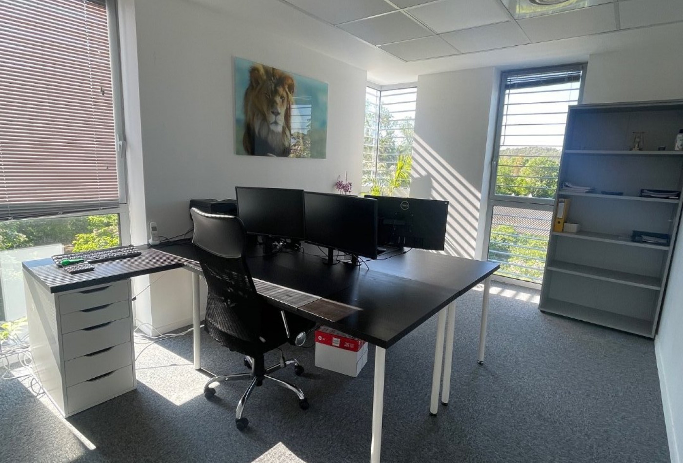 vente Bureau Prades Le Lez - Photo 4