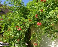A vendre Moulins | Réf 34070117633 - Abessan immobilier
